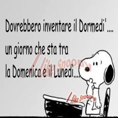 41727f28e1cad22b9a7aa52e9bdd0973.jpg.b2d4ab86c40bb6c1648a498e6323ffee.jpg