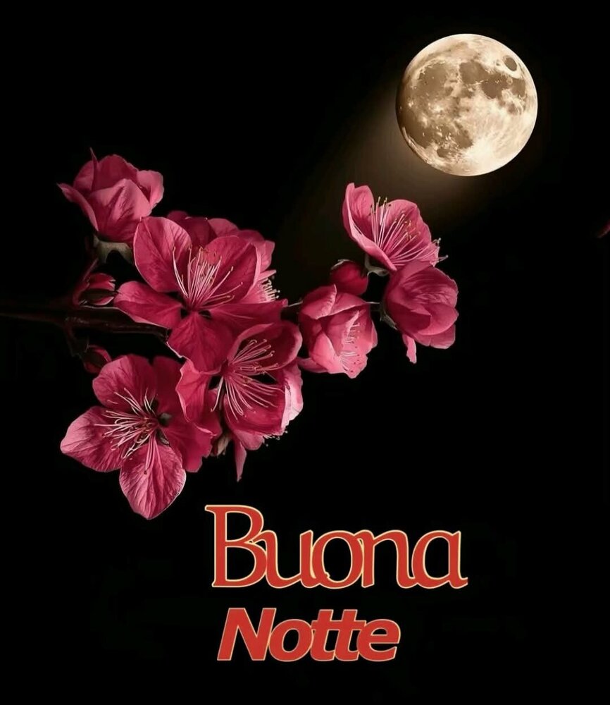 IMG-20260612-WA0013.jpg