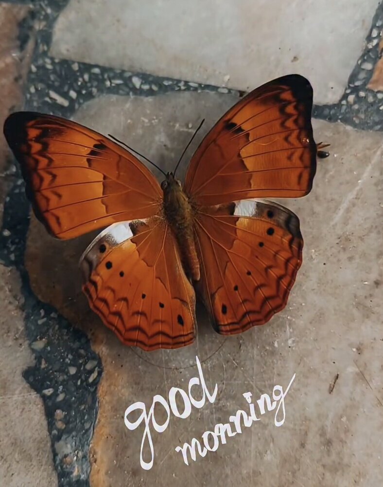 IMG_6368.jpeg