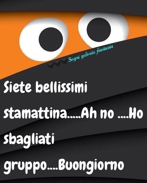 bellissimi.jpg