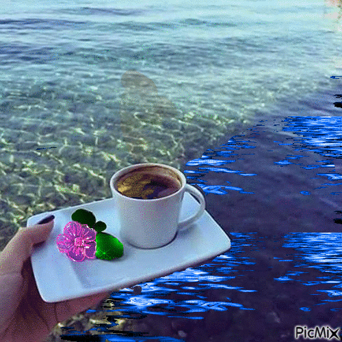 caffè e mare.gif