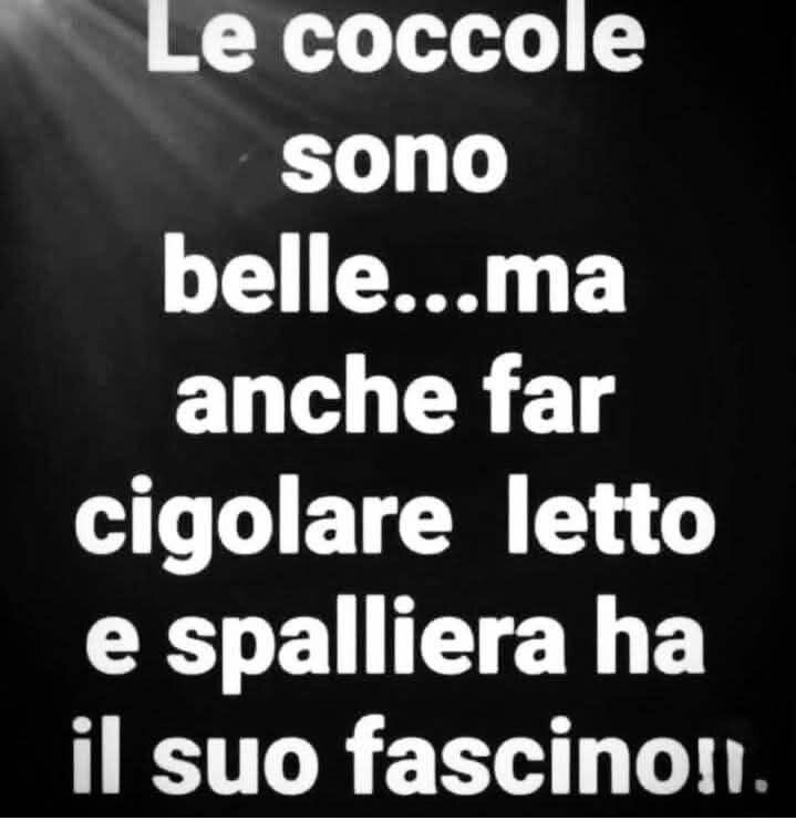 coccole.jpg