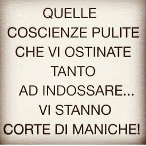 maniche.jpg