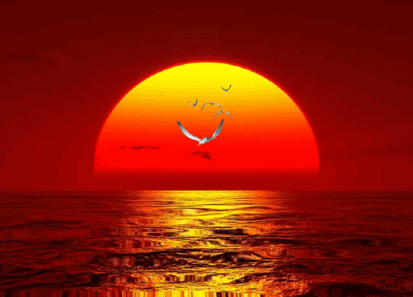 sole.gif
