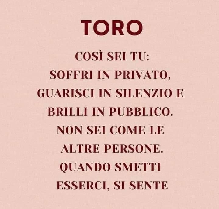 toro.jpg