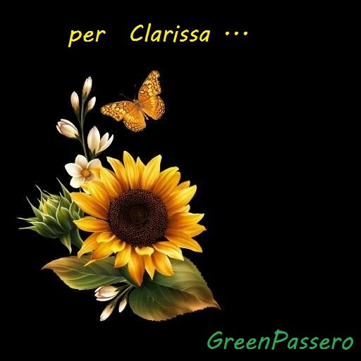 ugirasole.jpg
