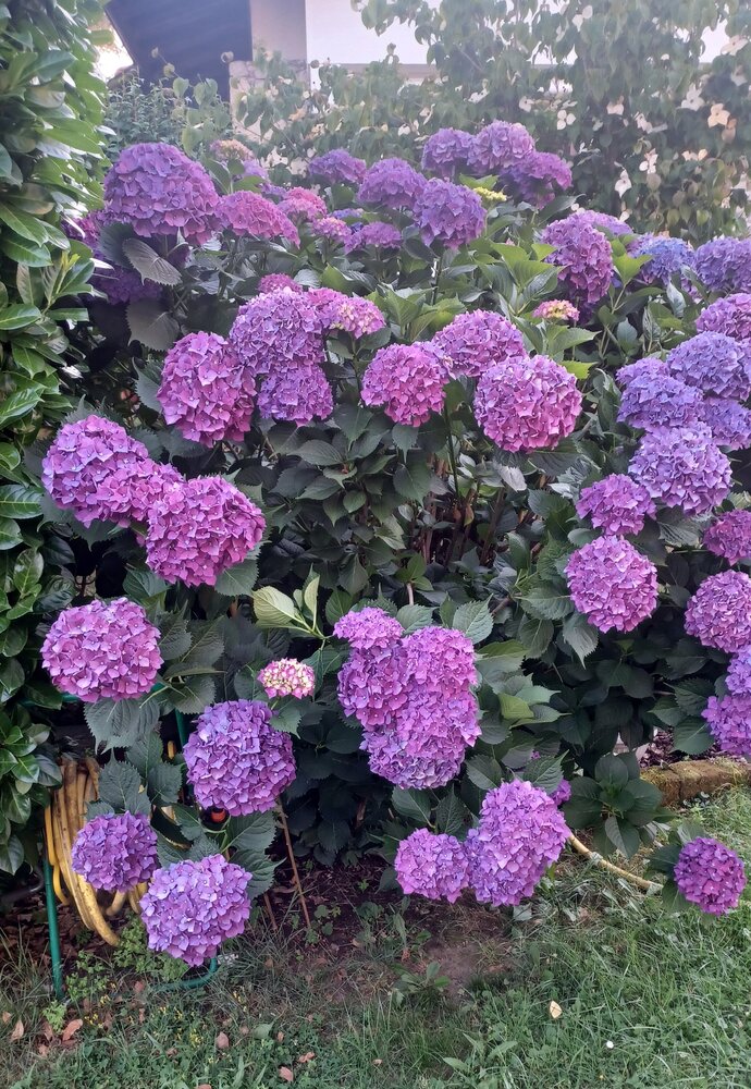 20260620_195611.jpg