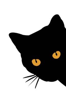 BlackCat