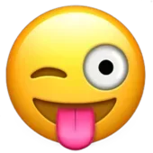 kiwer